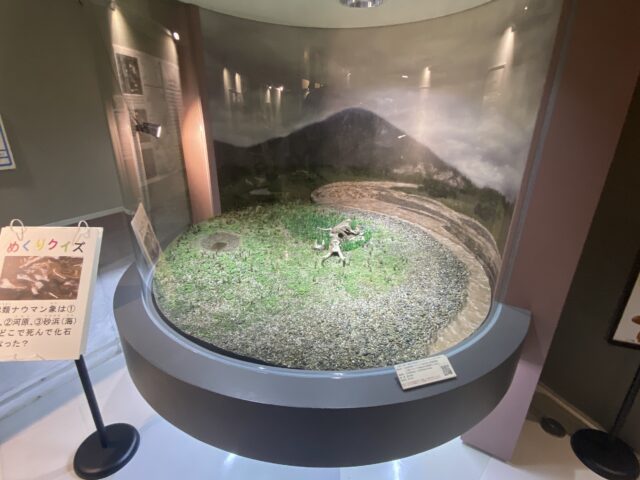 象造形